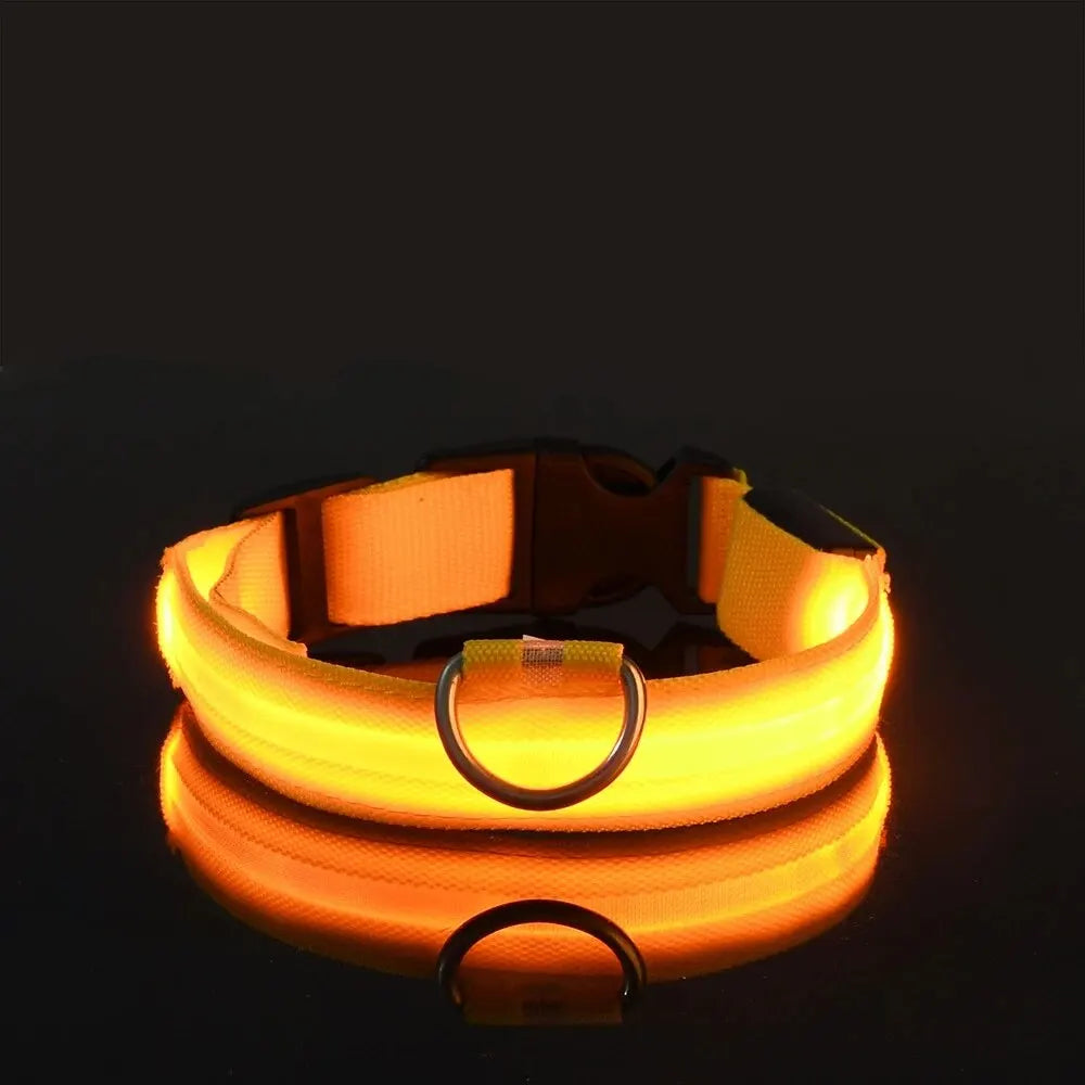 Zvizzi Pets™ LED Glow Collar & Leash – Night Safety Nylon for Dogs