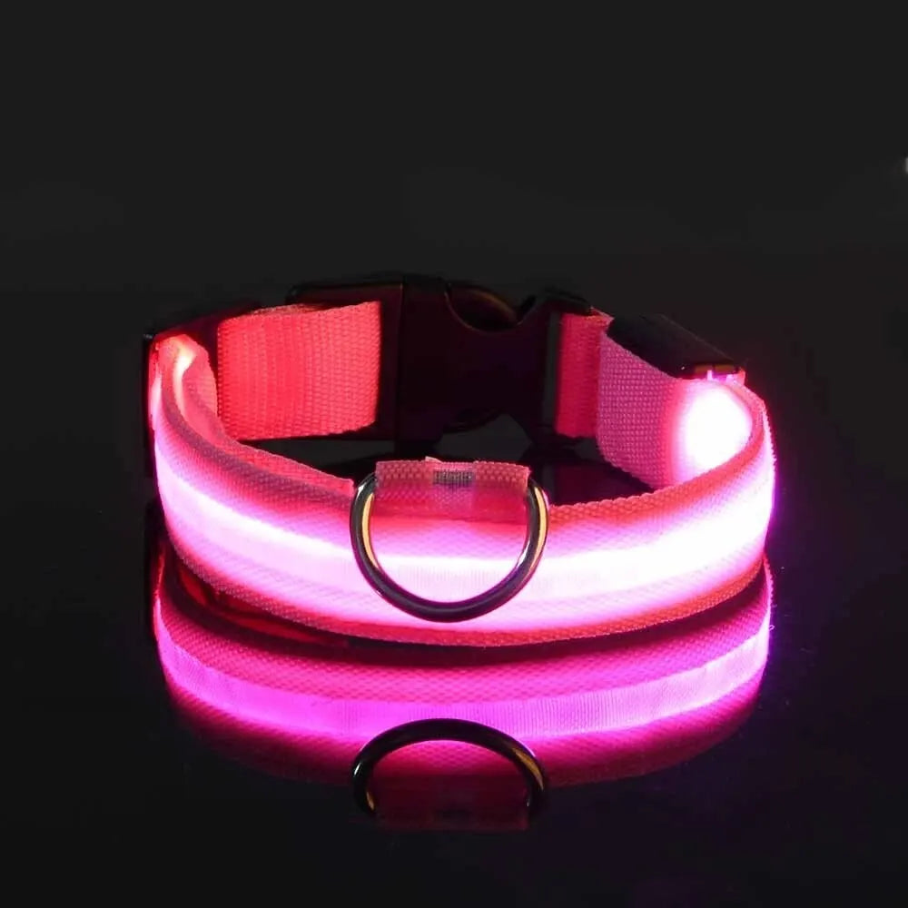 Zvizzi Pets™ LED Glow Collar & Leash – Night Safety Nylon for Dogs