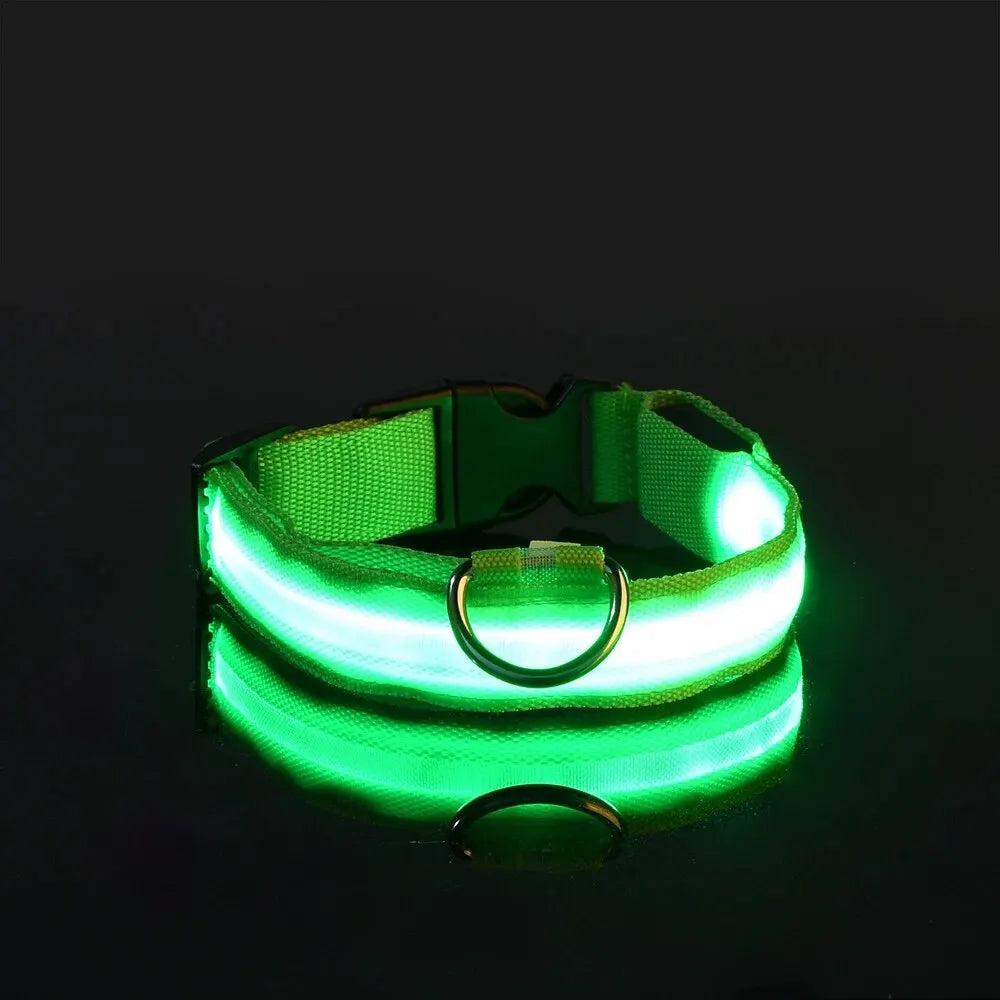 Zvizzi Pets™ LED Glow Collar & Leash – Night Safety Nylon for Dogs