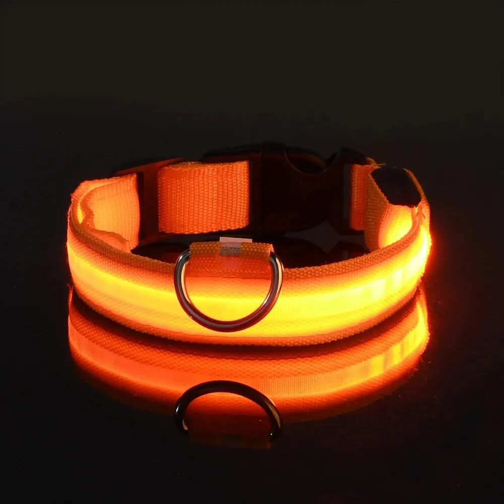 Zvizzi Pets™ LED Glow Collar & Leash – Night Safety Nylon for Dogs
