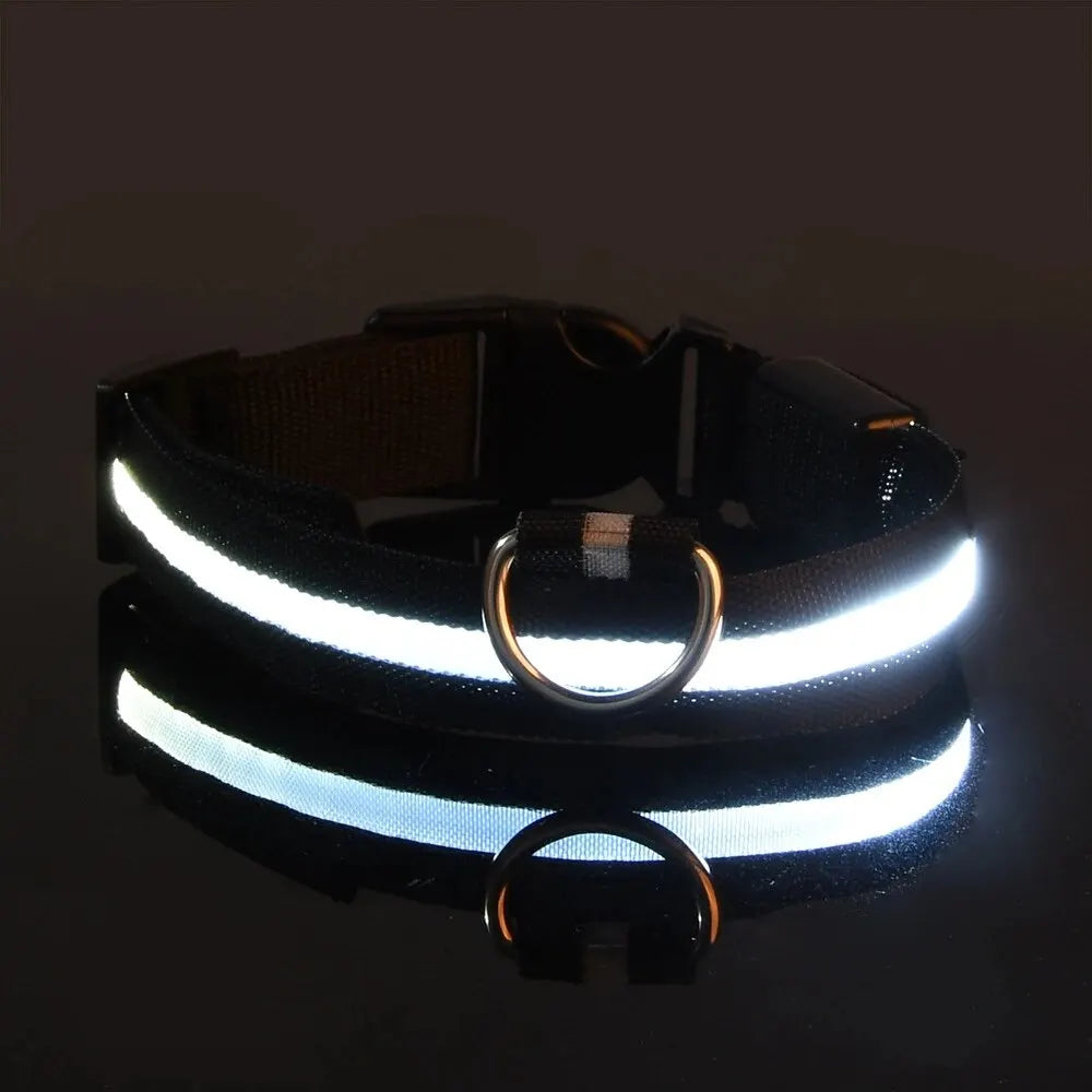 Zvizzi Pets™ LED Glow Collar & Leash – Night Safety Nylon for Dogs