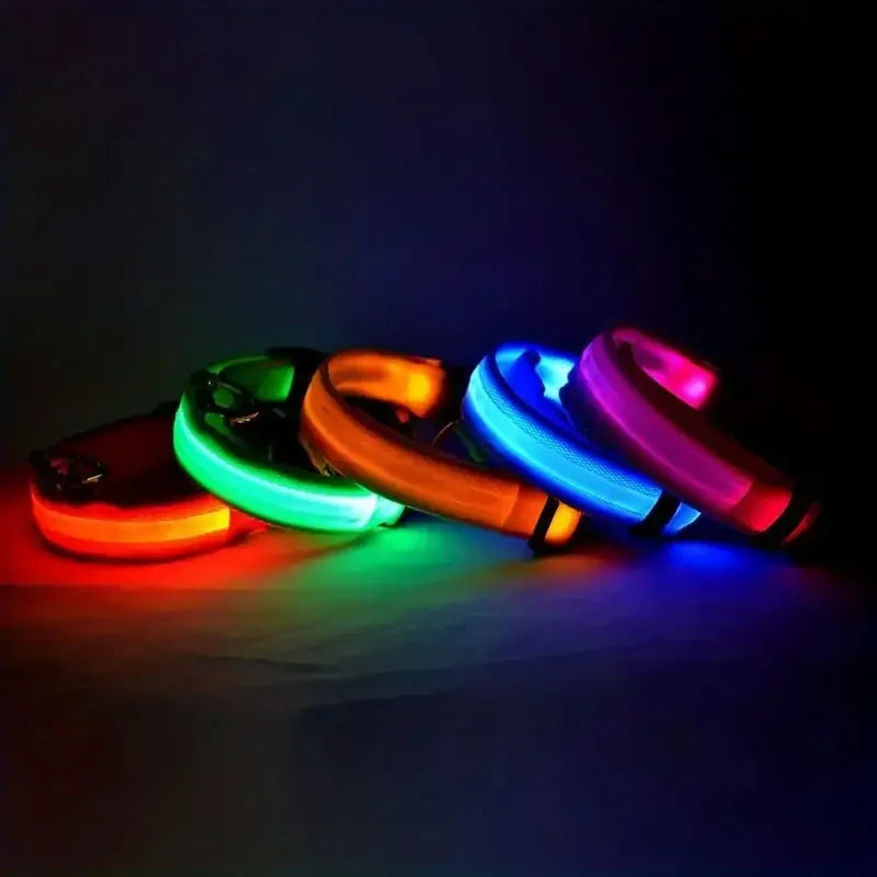 Zvizzi Pets™ LED Glow Collar & Leash – Night Safety Nylon for Dogs
