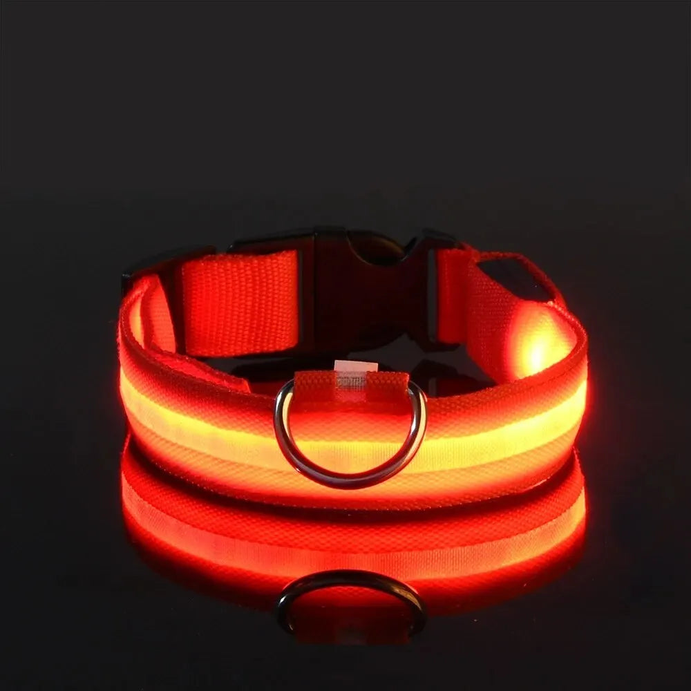 Zvizzi Pets™ LED Glow Collar & Leash – Night Safety Nylon for Dogs