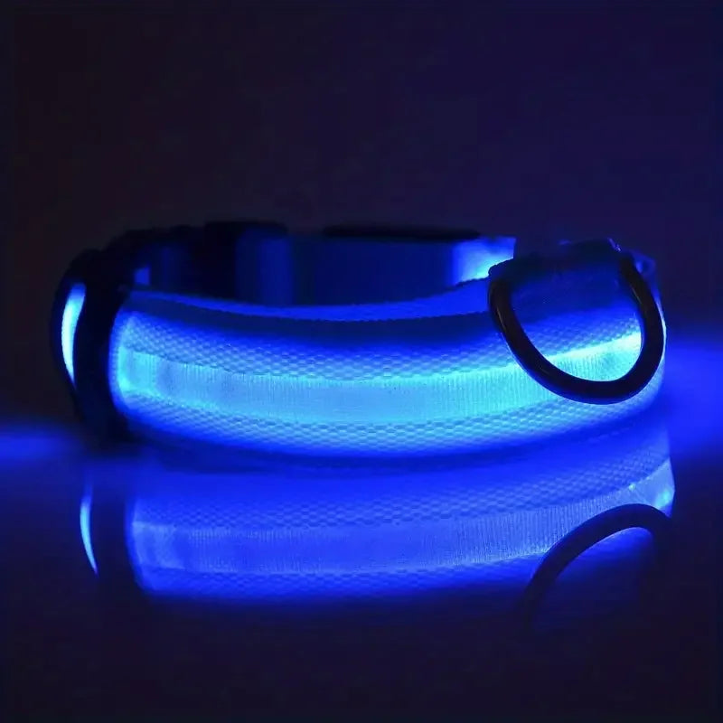Zvizzi Pets™ LED Glow Collar & Leash – Night Safety Nylon for Dogs