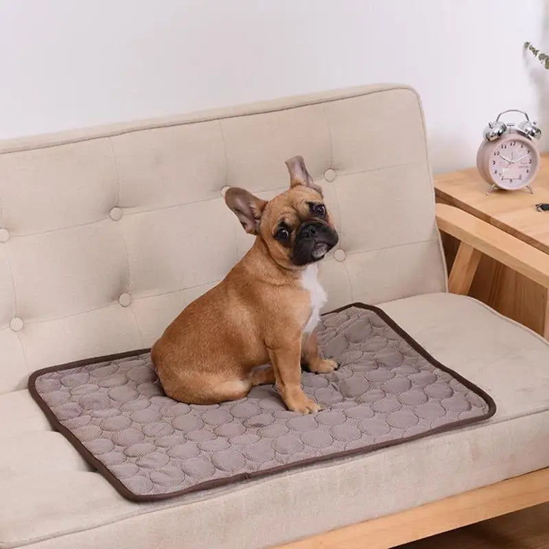 Zvizzi ChillMat™ – Summer Cooling Pad for Dogs & Cats