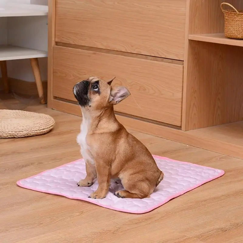 Zvizzi ChillMat™ – Summer Cooling Pad for Dogs & Cats