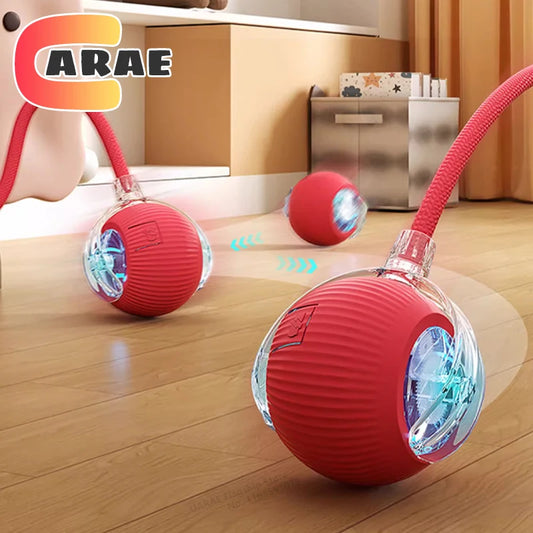 ZvizziPets™ SmartTail – Rechargeable Interactive Rolling Ball Toy for Cats