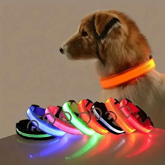 Zvizzi Pets™ LED Glow Collar & Leash – Night Safety Nylon for Dogs